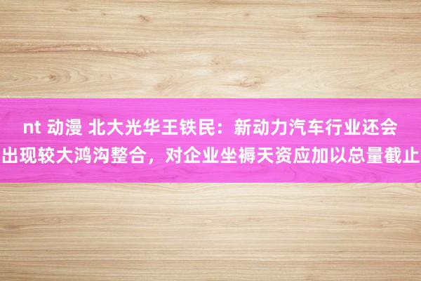 nt 动漫 北大光华王铁民：新动力汽车行业还会出现较大鸿沟整合，对企业坐褥天资应加以总量截止