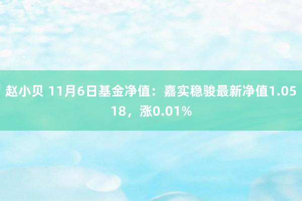 赵小贝 11月6日基金净值：嘉实稳骏最新净值1.0518，涨0.01%