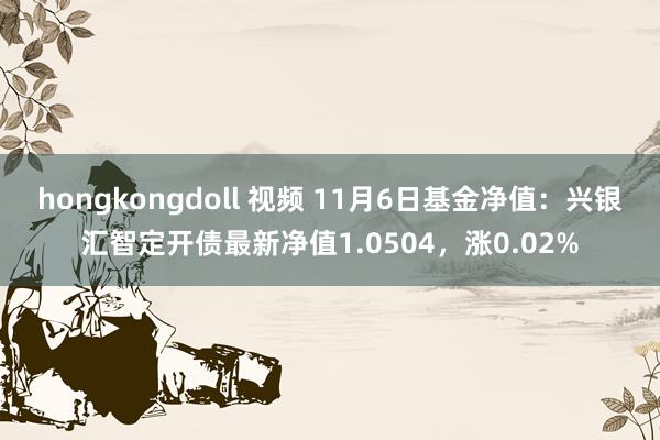 hongkongdoll 视频 11月6日基金净值：兴银汇智定开债最新净值1.0504，涨0.02%