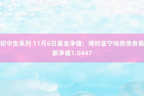 初中生系列 11月6日基金净值：博时富宁纯债债券最新净值1.0447