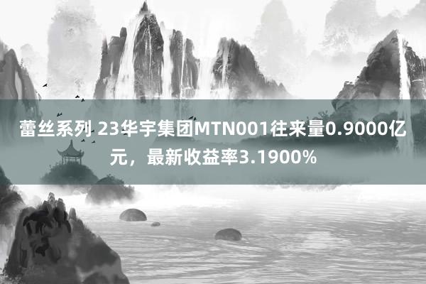 蕾丝系列 23华宇集团MTN001往来量0.9000亿元，最新收益率3.1900%