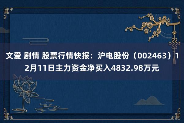 文爱 剧情 股票行情快报：沪电股份（002463）12月11日主力资金净买入4832.98万元