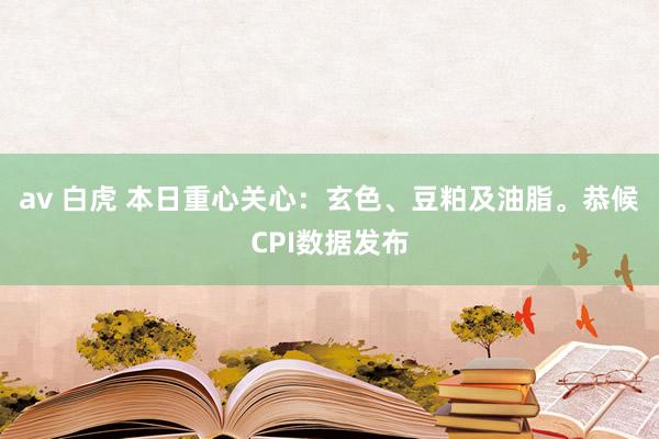 av 白虎 本日重心关心：玄色、豆粕及油脂。恭候CPI数据发布