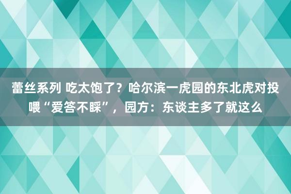 蕾丝系列 吃太饱了？哈尔滨一虎园的东北虎对投喂“爱答不睬”，园方：东谈主多了就这么