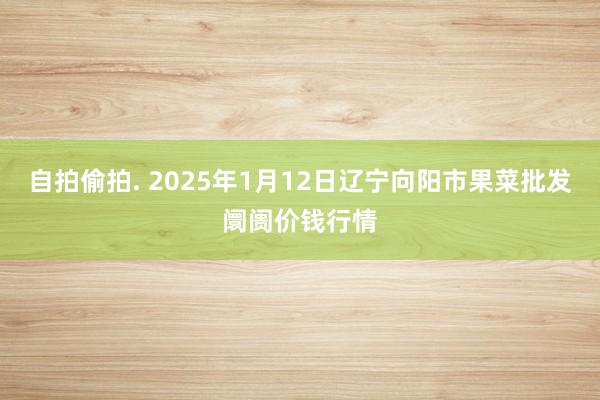 自拍偷拍. 2025年1月12日辽宁向阳市果菜批发阛阓价钱行情