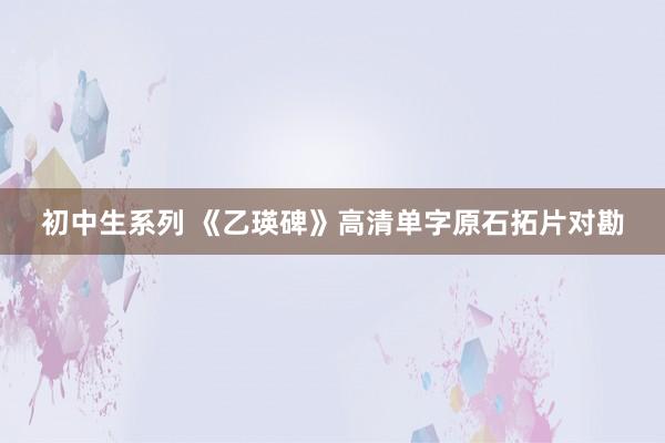 初中生系列 《乙瑛碑》高清单字原石拓片对勘