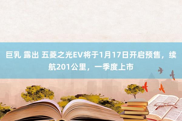 巨乳 露出 五菱之光EV将于1月17日开启预售，续航201公里，一季度上市