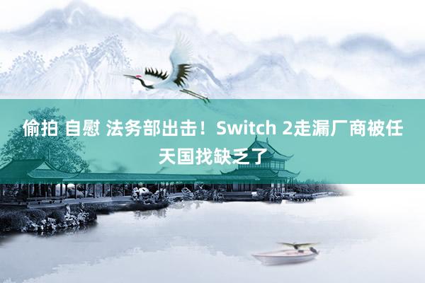 偷拍 自慰 法务部出击！Switch 2走漏厂商被任天国找缺乏了