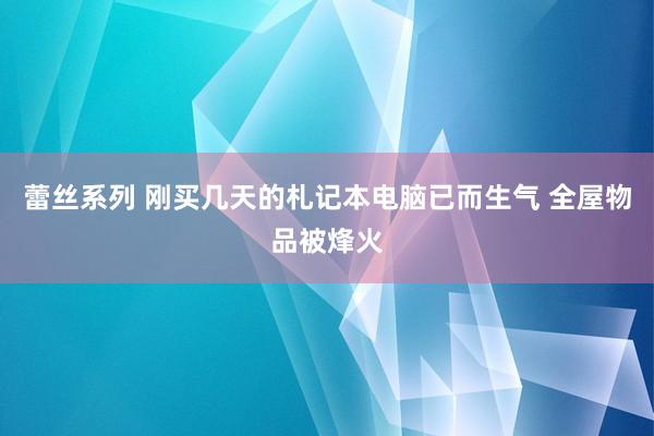 蕾丝系列 刚买几天的札记本电脑已而生气 全屋物品被烽火