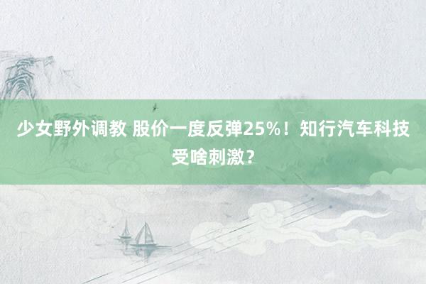 少女野外调教 股价一度反弹25%！知行汽车科技受啥刺激？