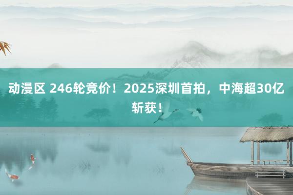 动漫区 246轮竞价！2025深圳首拍，中海超30亿斩获！